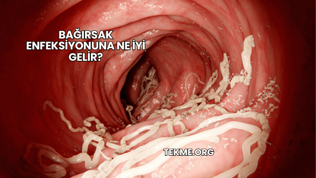 Bağırsak Enfeksiyonuna Ne İyi Gelir?