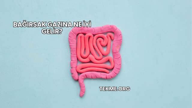 Bağırsak Gazına Ne İyi Gelir?