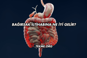 Bağırsak İltihabına Ne İyi Gelir?