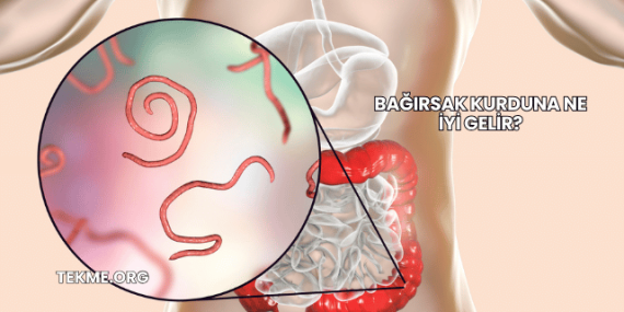 Bağırsak Kurduna Ne İyi Gelir?