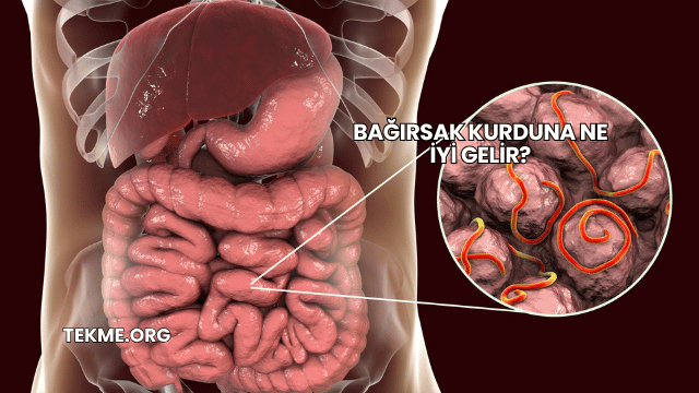 Bağırsak Kurduna Ne İyi Gelir?
