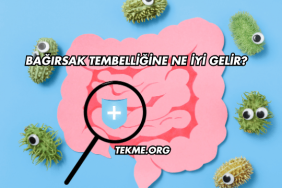 Bağırsak Tembelliğine Ne İyi Gelir?