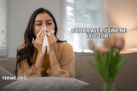 Bahar Alerjisine Ne İyi Gelir?