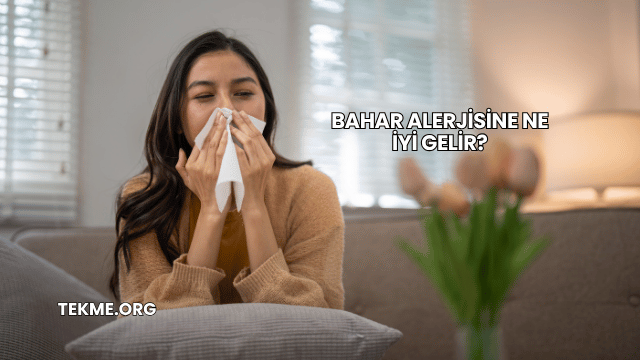 Bahar Alerjisine Ne İyi Gelir?