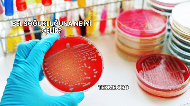 Bel Soğukluğuna Ne İyi Gelir?