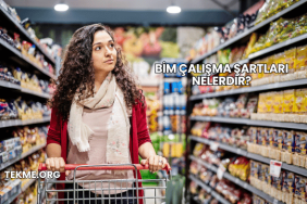 Bim Çalışma Şartları Nelerdir?