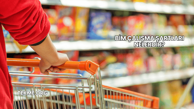 Bim Çalışma Şartları Nelerdir?