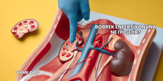 Böbrek Enfeksiyonuna Ne İyi Gelir?