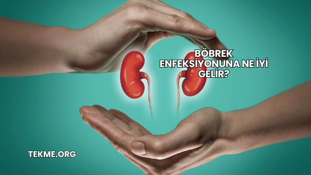 Böbrek Enfeksiyonuna Ne İyi Gelir?