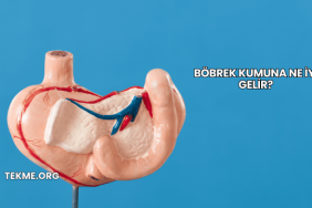 Böbrek Kumuna Ne İyi Gelir?