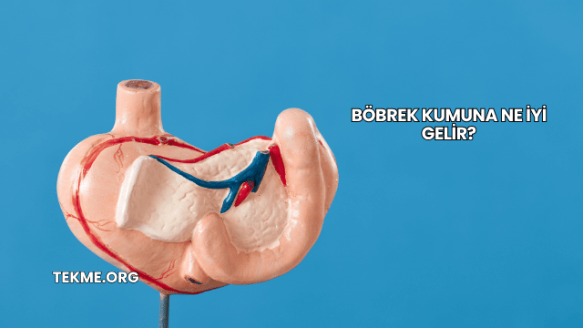 Böbrek Kumuna Ne İyi Gelir?