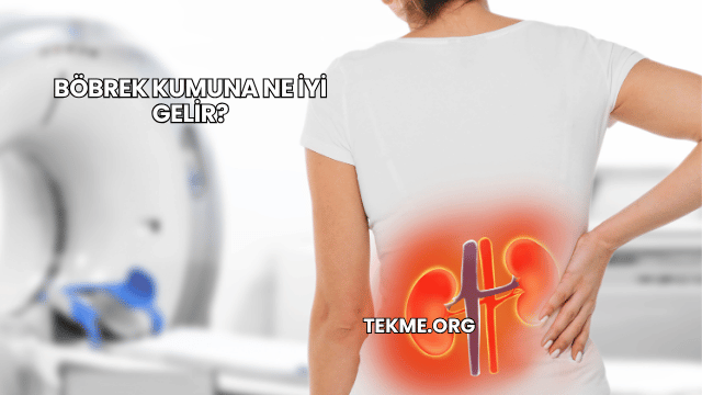 Böbrek Kumuna Ne İyi Gelir?