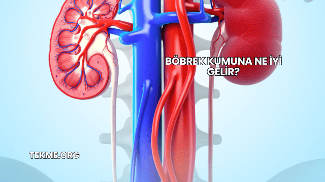 Böbrek Kumuna Ne İyi Gelir?