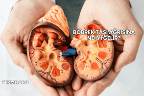 Böbrek Taşı Ağrısına Ne İyi Gelir?