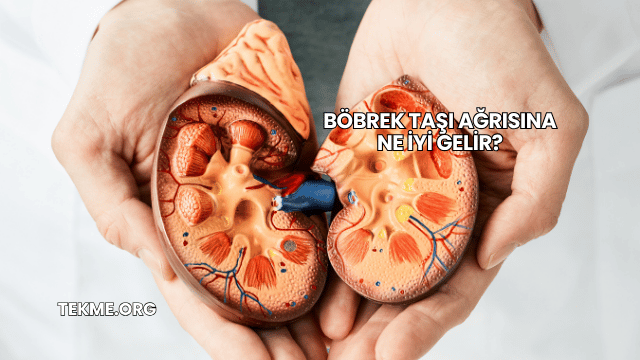 Böbrek Taşı Ağrısına Ne İyi Gelir?