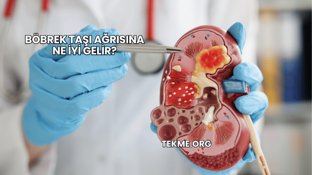 Böbrek Taşı Ağrısına Ne İyi Gelir?