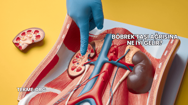 Böbrek Taşı Ağrısına Ne İyi Gelir?