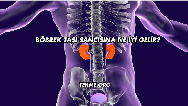 Böbrek Taşı Sancısına Ne İyi Gelir?