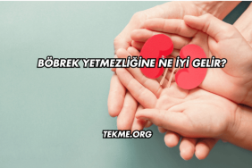 Böbrek Yetmezliğine Ne İyi Gelir?
