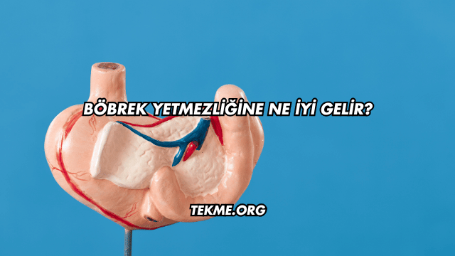 Böbrek Yetmezliğine Ne İyi Gelir?