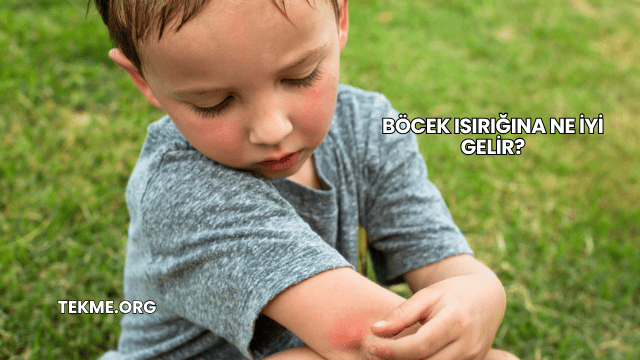 Böcek Isırığına Ne İyi Gelir?