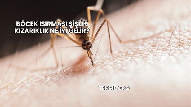 Böcek Isırması Şişlik Kızarıklık Ne İyi Gelir?