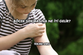 Böcek Sokmasına Ne İyi Gelir?
