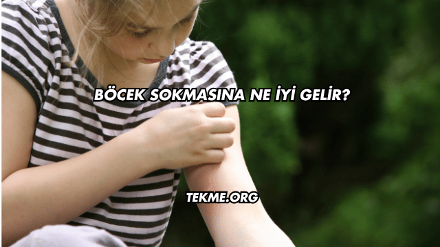 Böcek Sokmasına Ne İyi Gelir?