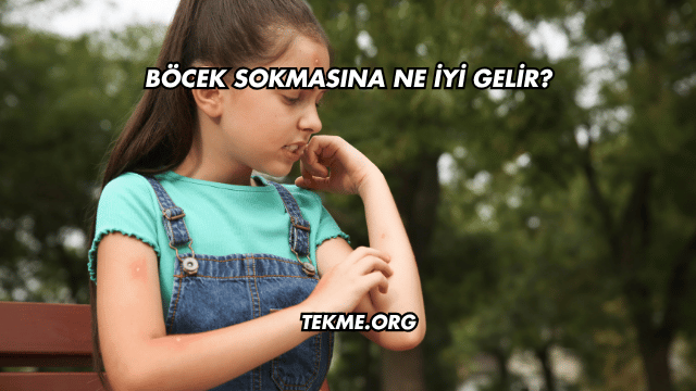 Böcek Sokmasına Ne İyi Gelir?