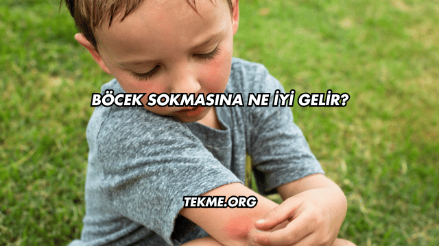 Böcek Sokmasına Ne İyi Gelir?