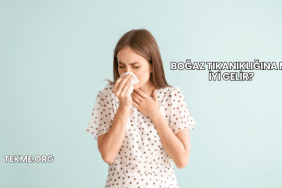 Boğaz Tıkanıklığına Ne İyi Gelir?
