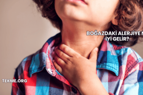Boğazdaki Alerjiye Ne İyi Gelir?