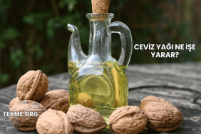 Ceviz Yağı Ne İşe Yarar?