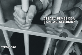 Cezaevi Pembe Oda Şartları Nelerdir?