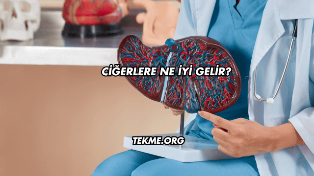 Ciğerlere Ne İyi Gelir?