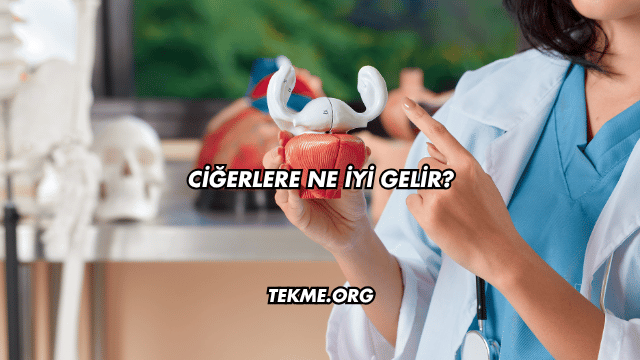 Ciğerlere Ne İyi Gelir?