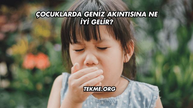 Çocuklarda Geniz Akıntısına Ne İyi Gelir?