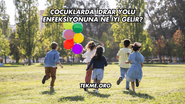 Çocuklarda İdrar Yolu Enfeksiyonuna Ne İyi Gelir?