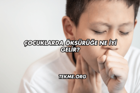 Çocuklarda Öksürüğe Ne İyi Gelir?