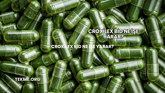 Croxilex Bid Ne İşe Yarar?
