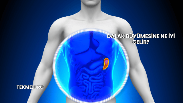 Dalak Büyümesine Ne İyi Gelir?