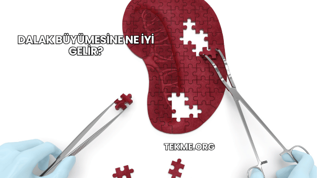 Dalak Büyümesine Ne İyi Gelir?