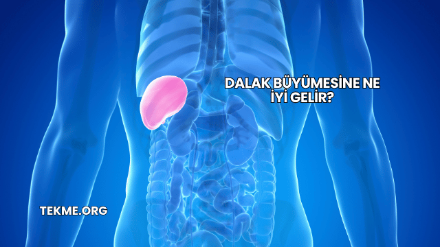 Dalak Büyümesine Ne İyi Gelir?