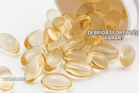 Debridat Fort Ne İşe Yarar?