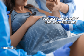 Doğum Borçlanması Şartları Nelerdir?