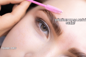 Dökülen Kaşa Ne İyi Gelir?