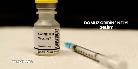 Domuz Gribine Ne İyi Gelir?