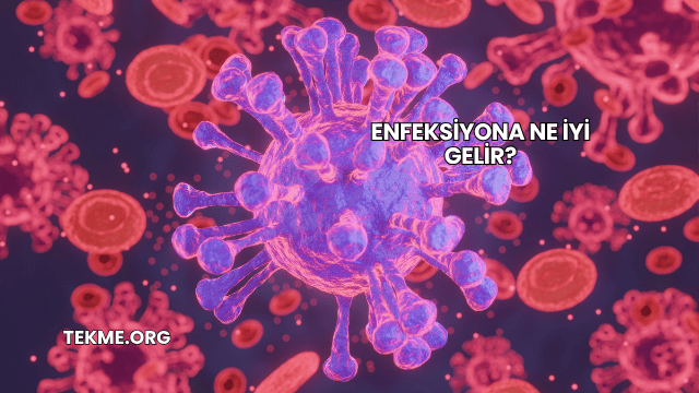Enfeksiyona Ne İyi Gelir?
