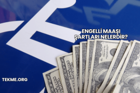 Engelli Maaşı Şartları Nelerdir?