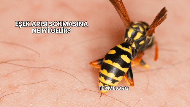 Eşek Arısı Sokmasına Ne İyi Gelir?
